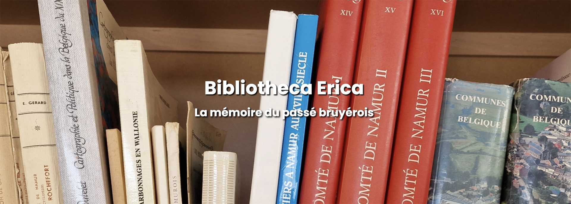Bibliotheca-2